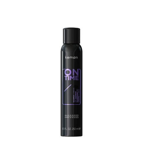 Kemon Styling On Time, 250 ml