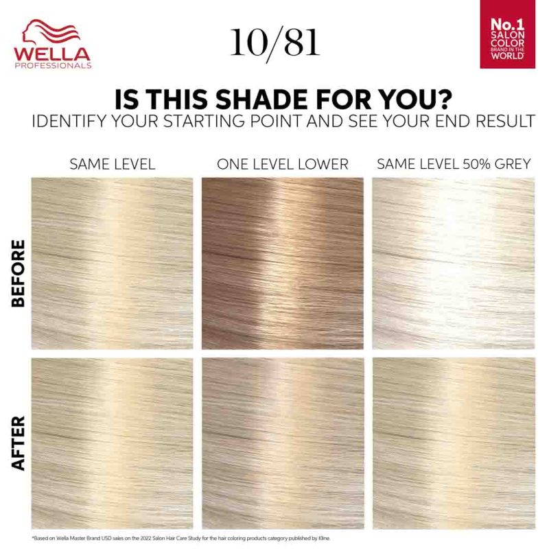 Wella Color Touch Kit Rich Natural Platinum Blonde 10/81, 130 ml - Image 2